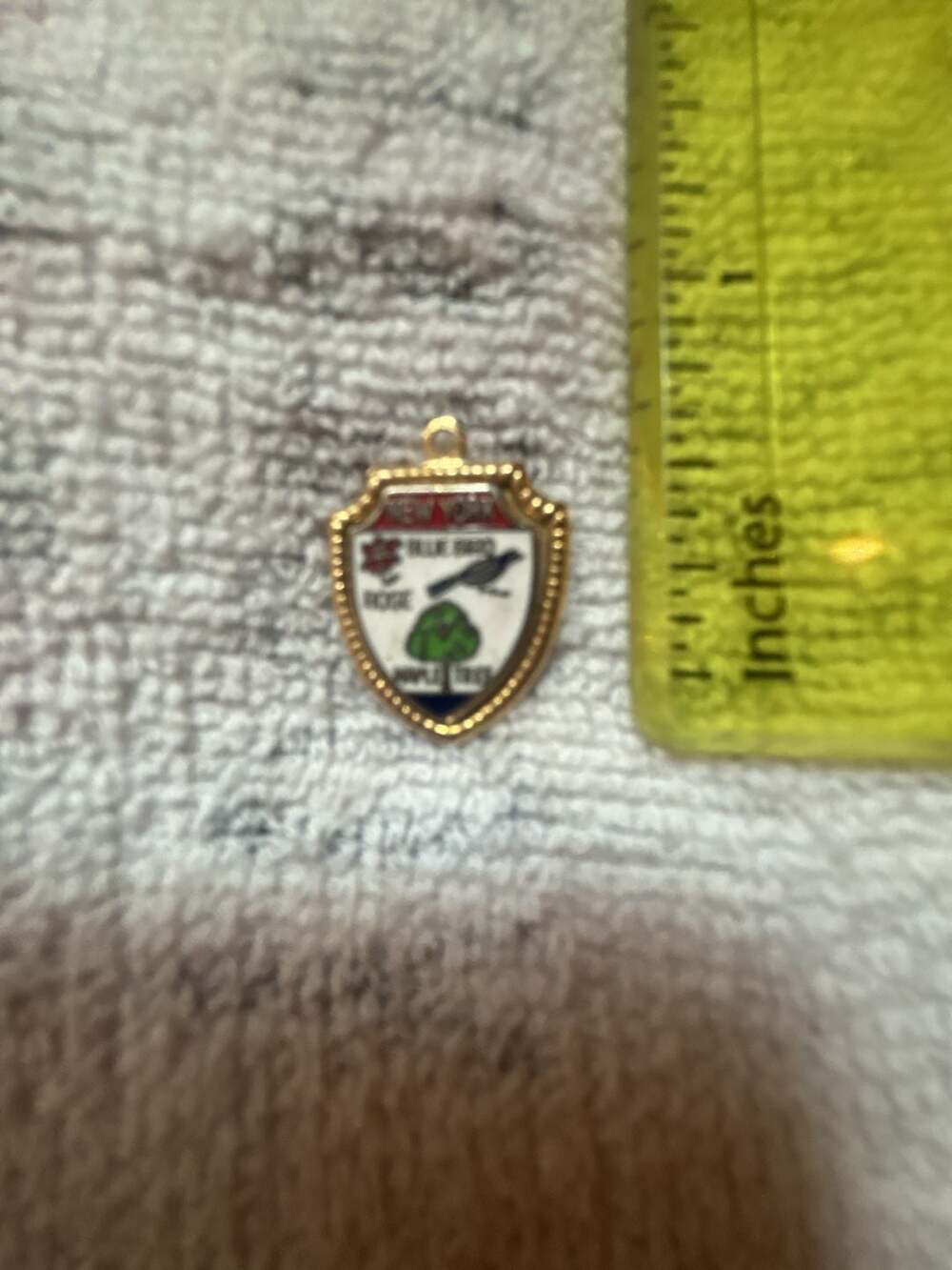 Vintage New York Souvenir Enamel Shield Charm